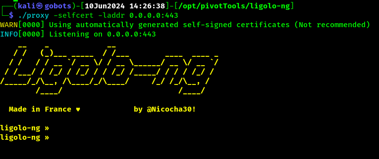 Ligolo startup screen